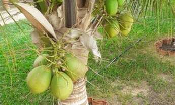 Imagem 3: Linda casa no Morada do Rio