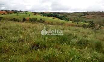 Imagem 2: Fazenda à venda, 3 quartos, Área Rural de Uberlândia - Uberlândia/MG