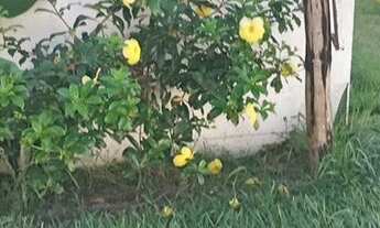 Imagem 4: Aluguel anual Apartamento com 1 dormitório