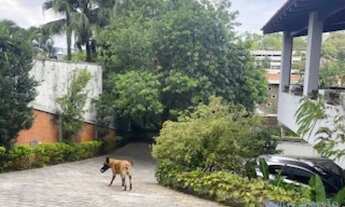 Imagem 6: CASA ASSOBRADADA - REAL PARQUE - SP