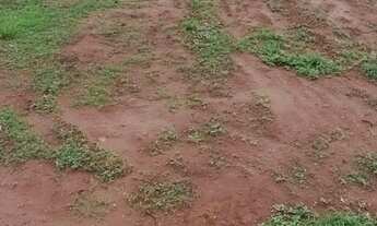 Imagem: Vende.se chácara