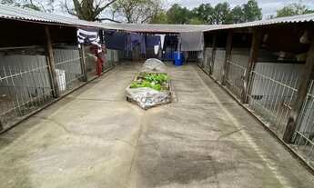 Imagem 2: Casa à venda em Nossa Senhora do Perpétuo Socorro