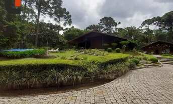 Imagem 3: Chácara com 3 dormitórios à venda, 168000 m² por R$ 9.500.000,00 - Itaqui de Cima - Campo