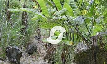 Imagem 5: Área à venda, 202056 m² por R$ 1.790.000,00 - Vila Progresso - Niterói/RJ