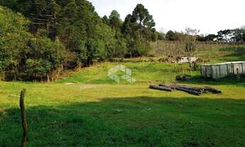 Imagem 10: Vendo chácara com 2 casa e muitas árvores frutíferas na Parada Crístal em Caxias do Sul
