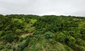 Imagem 4: Fazenda à Venda - Oportunidade Rara!