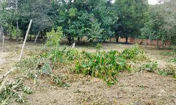 Imagem 4: VENDO Terreno Terreno / lote com venda por R$35.000