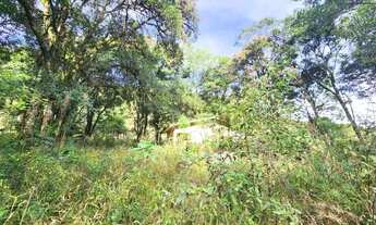 Imagem 6: Sítio / Chácara para Venda em Nova Petrópolis, Linha Pirajá Baixa