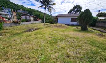 Imagem 2: Terreno Plano ideal para fazer um loteamento