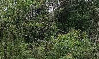 Imagem 5: Terreno 10x25 Bairro Branca Flor