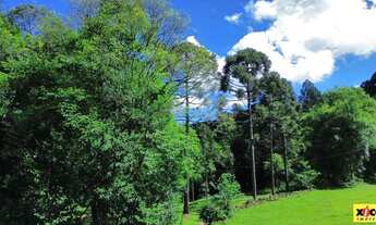 Imagem 7: Sítio / Chácara para Venda em Nova Petrópolis, Nove Colonias, 5 dormitórios, 3 suítes, 5 b