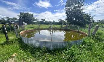 Imagem 4: VENDO FAZENDA 2.400 HAC PANTANAL REGIÃO DE MIMOSO MT