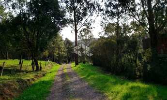 Imagem 4: Vendo chácara com 2 casa e muitas árvores frutíferas na Parada Crístal em Caxias do Sul