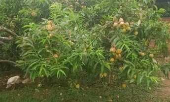 Imagem 4: Imóvel para venda com 484000 metros quadrados com 2 quartos em Zona Rural - Cunha - SP