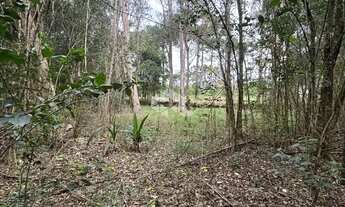 Imagem 7: AREA DE TERRAS EM FLORES DA CUNHA PARA EXPLORAÇÃO TURISMO