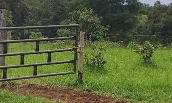 Imagem 3: Chácara em Pontalina