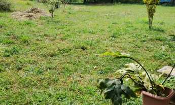 Imagem 5: Vendo linda casa na Ponte Alta