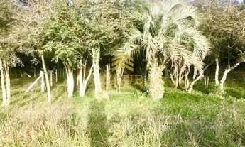 Imagem 3: Imóvel para venda tem 400 metros quadrados em Águas Claras - Viamão - RS