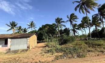 Imagem 4: Vendo sítio no interior de Japoatã - Se