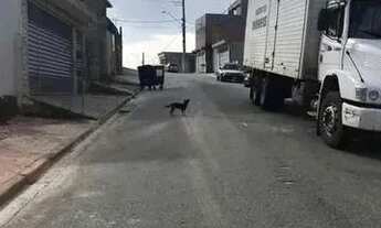 Imagem 4: Terreno à venda em Barueri, Vila do Conde