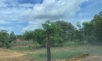 Imagem 5: Lote de chácara