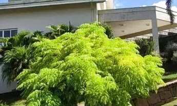 Imagem 2: CASA EM CONDOMÍNIO - MORRO ALTO - SP