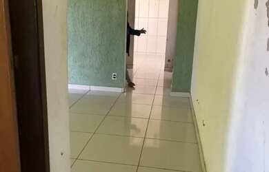 Imagem 5: R CASA A VENDA NO BENGUÍ NA RUA DO CRAS