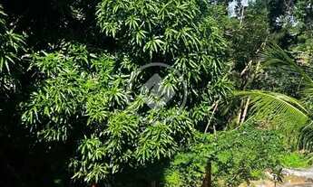 Imagem 4: Oportunidade Maravilhosa Casa no Cond. Parque das Arvores codigo: 158855