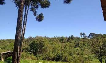 Imagem 2: Vende-se chácara em tijucas do sul