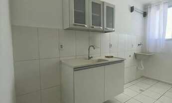 Imagem 4: Apartamento à venda e para alugar no Jardim Nova Europa em Campinas/SP