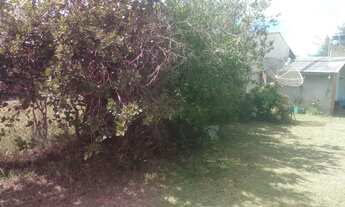 Imagem 2: Oportunidade imperdivel