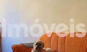 Imagem: Venda Apartamento 4 quartos Cruzeiro Belo