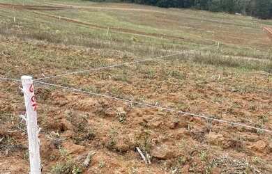 Imagem 6: Imóvel para venda tem 500 metros quadrados em Altos de Caucaia (Caucaia do Alto) - Cotia