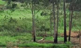 Imagem 4: Terreno de chácara com 1500 metros quadrados