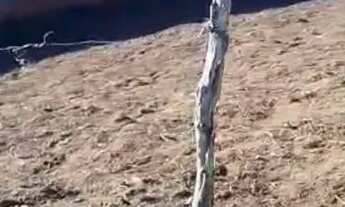 Imagem 4: Terreno / Lote - Quebradas III - Salgado