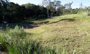 Imagem 5: Chácara na roseira de campo largo sjp