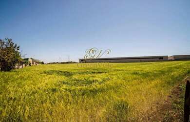 Imagem 5: Campo Largo, Terreno City Center Shopping, PARA 400 UNIDADES, plano s, limpo, em árvores