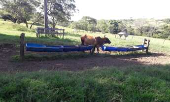 Imagem 7: Sítio para gado regiâo de marilia e Echaporã
