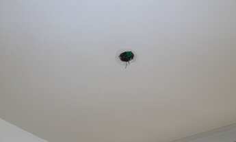 Imagem 3: Apartamento para aluguel possui 92 metros quadrados com 2 quartos em Tijuca - Rio de Janei