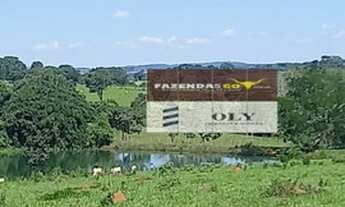 Imagem 5: Fazenda Extra - 8 Alqueires - Região de Goianira - GO !
