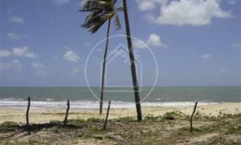 Imagem 3: CEARá-MIRIM - Terreno Padrão - Muriú