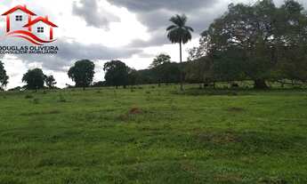 Imagem 6: Fazenda 295,24 Hectares Região De Campina Verde/MG