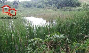 Imagem 2: Fazenda 295,24 Hectares Região De Campina Verde/MG