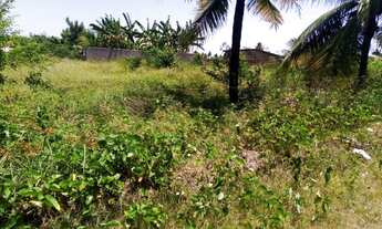 Imagem 3: Vendo 3 Terrenos Em Itamaracá