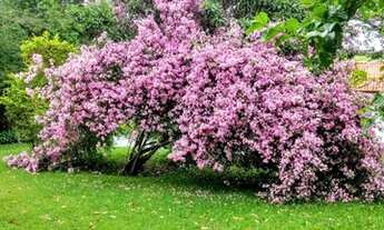 Imagem 4: Casa à venda no bairro Condomínio City Castelo - Itu/SP