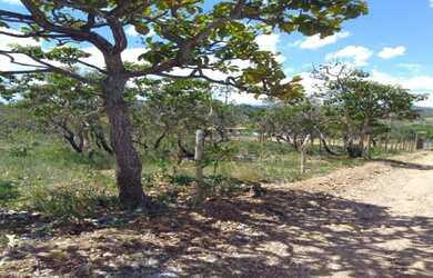 Imagem: Linda chácara de 1.000 metros,Baldim (Temos