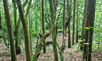 Imagem 4: Fazenda/Sítio/Chácara para venda tem 121 metros quadrados com 3 quartos