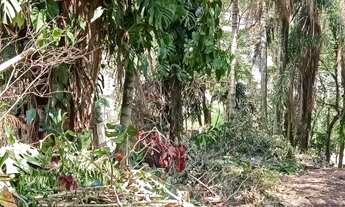 Imagem 2: Lote/Terreno para venda tem 250 metros quadrados em Chácara Parque São Pedro - Atibaia - S