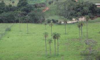 Imagem 3: Linda Fazendinha de 20 mil metros,Jaboticatubas (Temos varias opções)