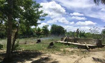 Imagem 5: Vendo excelente Área no município de Goiana / PE